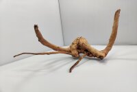 Spiderwood Aquarium root SR37 ca 40x20x28 cm