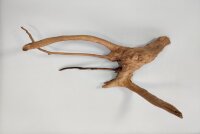 Spiderwood Aquarium root SR37 ca 40x20x28 cm