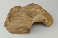 Stone Cave ,Robin from Clay Surprise