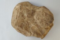 Stone Cave ,Robin from Clay Surprise