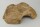 Stone Cave ,Robin from Clay Surprise