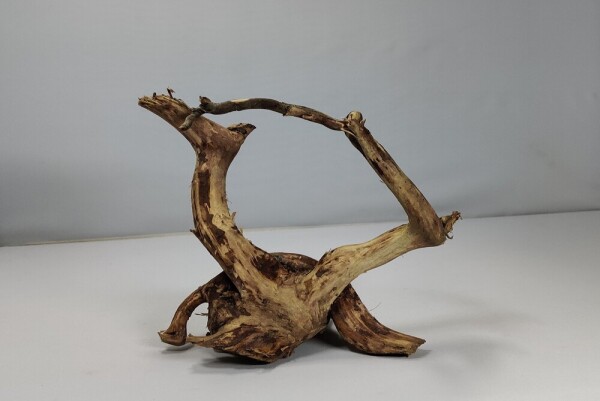 Talawa wood Teawood Aquarium root TR11 ca 19x12x12 cm