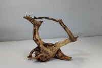 Talawa wood Teawood Aquarium root TR11 ca 19x12x12 cm