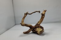 Talawa wood Teawood Aquarium root TR11 ca 19x12x12 cm