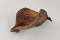 Thelambu pod as a cave or hiding place