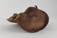 Thelambu pod as a cave or hiding place