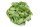 Walnut leaves for aquarium 20 g