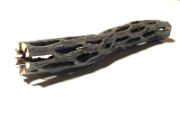 Cholla Cactus Wood - Vuka Wood 2 cm Ø