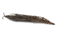 Coconut panicle as an aquarium root for biotope aquariums
