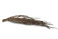 Coconut panicle as an aquarium root for biotope aquariums
