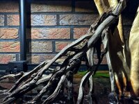 Coconut panicle as an aquarium root for biotope aquariums