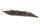 Coconut panicle as an aquarium root for biotope aquariums