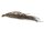 Coconut panicle as an aquarium root for biotope aquariums