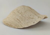 AquaKeramik Turtle igloo Morla made of clay Surprise