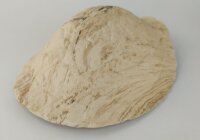 AquaKeramik Turtle igloo Morla made of clay Surprise