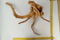 Spiderwood Aquarium root SR2 ca. 48x34x18 cm