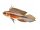 Sticker Apistogramma elisabethae