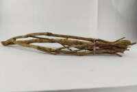 Talawa wood Teawood Aquarium root TB1 ca. 54x13x8 cm