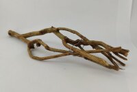 Talawa wood Teawood Aquarium root TB2 ca. 54x13x7 cm