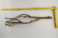 Talawa wood Teawood Aquarium root TB2 ca. 54x13x7 cm