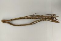 Talawa wood Teawood Aquarium root TB4 ca. 58x12x10 cm