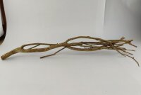 Talawa wood Teawood Aquarium root TB7 ca. 57x10x9 cm