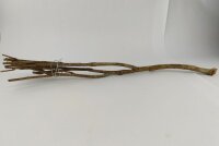 Talawa wood Teawood Aquarium root TB8 ca. 58 cm