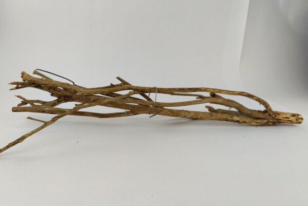 Talawa wood Teawood Aquarium root TB9 ca. 46x10x7 cm