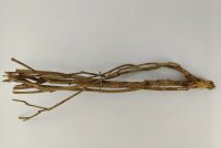 Talawa wood Teawood Aquarium root TB9 ca. 46x10x7 cm