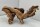 Aquarium root Vine WR2