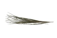 Palm leaf palm fronds for biotoaquariums
