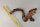 Aquarium root Vine WR4