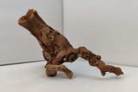 Aquarium root Vine WR6