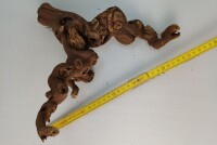 Aquarium root Vine WR6