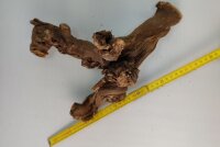Aquarium root Vine WR7