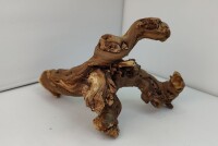 Aquarium root Vine WR7