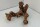 Aquarium root Vine WR7