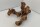 Aquarium root Vine WR7