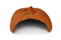 Clay pumpkin as axolotl cave