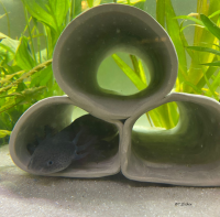 AquaKeramik Axolotl cave cave tower of 3 pipes