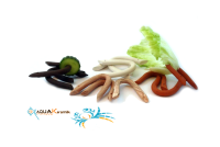 AquaKeramik Feeding hook vegetable hook clay hook in the...