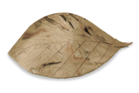 AquaKeramik large clay leaf as a hiding place