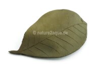 AquaKeramik large clay leaf as a hiding place
