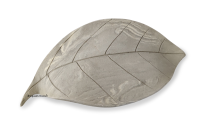 AquaKeramik large clay leaf as a hiding place