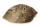 AquaKeramik large clay leaf as a hiding place