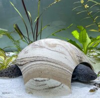 AquaKeramik Igloo clay cave Axolotl cave 18 cm &Oslash; 3 entrances