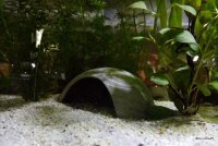 AquaKeramik Igloo Axolotl cave 18 cm Ø with archway