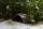 AquaKeramik Igloo Axolotl cave 18 cm Ø with archway