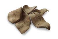 AquaKeramik Deco nano clay leaves set of 5 pcs