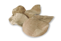 AquaKeramik Deco nano clay leaves set of 5 pcs